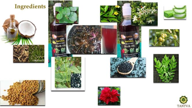 TANTVA Herbal Hair oil	- 200ml - Image 5